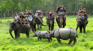 chitwan nationall park
